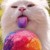 :iconsugarpie2001:
