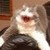 :iconsugarstory: