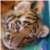 :iconsugarsweetdeath: