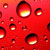 :iconsugartree3: