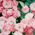 sugarXfactory :iconsugarxfactory: