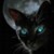 sugercat :iconsugercat: