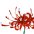 :iconsugriva177: