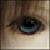 :iconsuhaky: