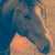 :iconsuicidal-notes: