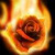 :iconsuicideangel1414:
