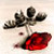 :iconsuicidesposterboy: