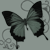 :iconsuicideveil: