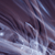 :iconsuicun3: