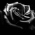 :iconsuigintou567: