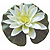 :iconsuiren520: