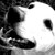 :iconsuite-two: