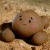 :iconsuiyoubi-chan: