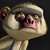 :iconsukantodebnath: