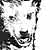 :iconsukothearticwolf: