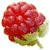 :iconsukyinuzuka77: