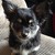 :iconsully365: