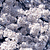 :iconsumirenohana: