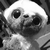 :iconsummer--child: