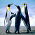 :iconsummer-breez: