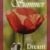 :iconsummerdream97:
