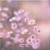 :iconsummerflavor12: