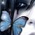 :iconsummergirl21: