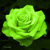:iconsummerjade: