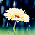 :iconsummersdayskies: