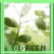 :iconsummerthunder:
