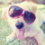 :iconsummertimedream: