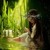 :iconsummitdreams114: