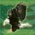 :iconsummoningalchemist: