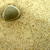 :iconsun-in-the-pocket: