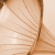 :iconsun-kisst: