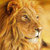 :iconsun-lion-sun:
