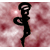 :iconsun-shang-xiang: