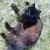 :iconsun0skie: