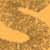 :iconsun72: