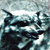:iconsuna-wolf: