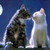 :iconsunblossom18: