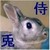 :iconsunbune: