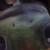 :iconsuncolouredcrayons: