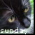 :iconsunday--sky: