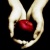 :iconsundownhowl: