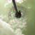 :iconsunfleur: