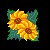 :iconsunflower05: