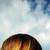 :iconsunflower990:
