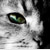 SunFlowerButterfly :iconsunflowerbutterfly:
