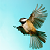 :iconsungbythesea: